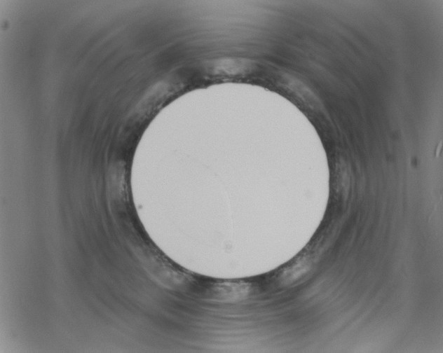 X0000067920328200605112015