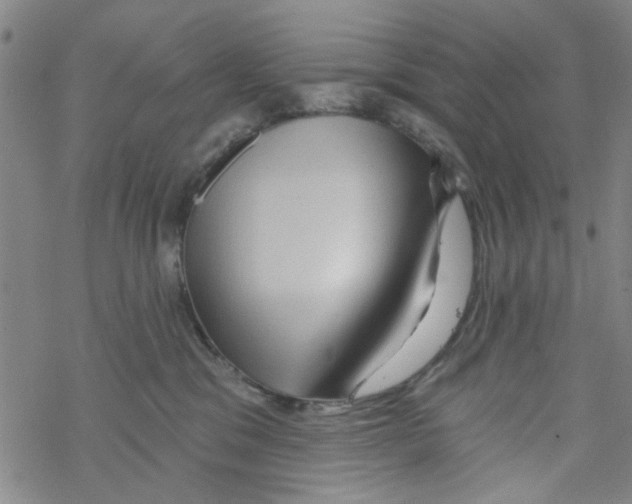 X0000067920329200605112015