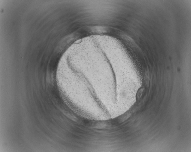 X0000067920330200605112015