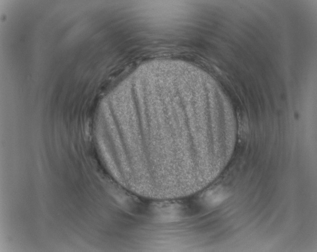 X0000067920331200605112015