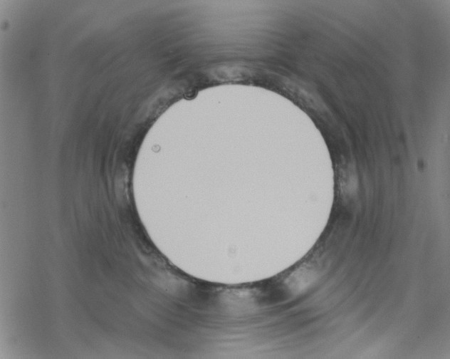 X0000067920332200605112015