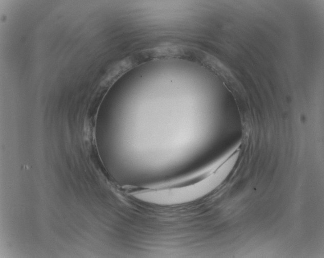 X0000067920333200605112015