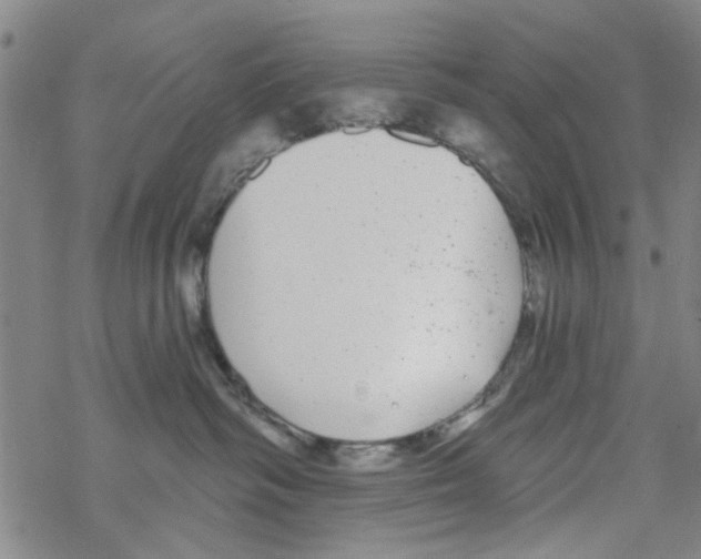 X0000067920334200605112015