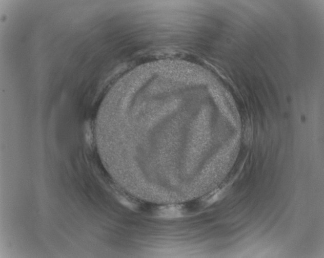 X0000067920335200605112015