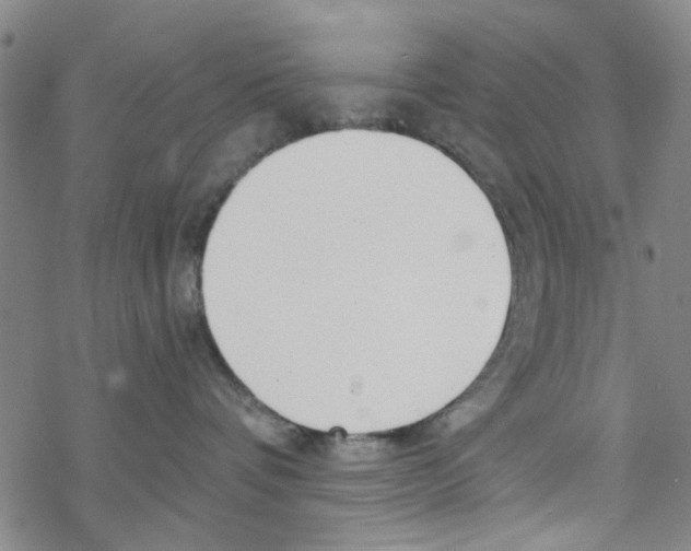 X0000067920336200605112015