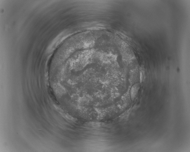 X0000067920339200605112014