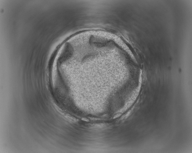 X0000067920342200605112014