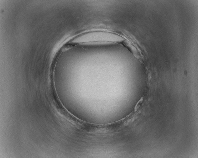 X0000067920344200605112014