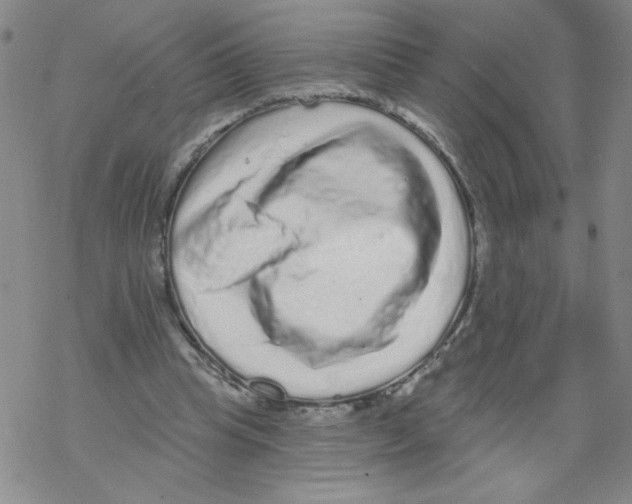 X0000067920345200605112014