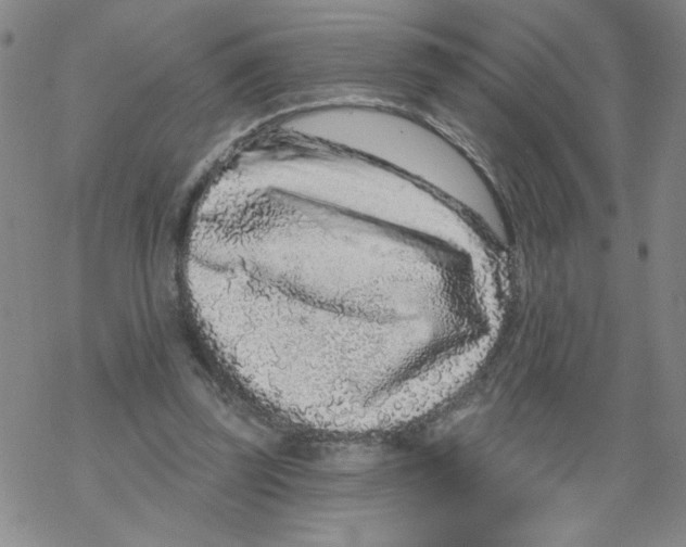 X0000067920347200605112014