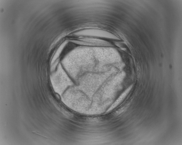 X0000067920349200605112014