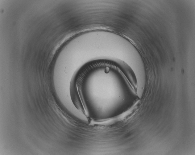 X0000067920350200605112014