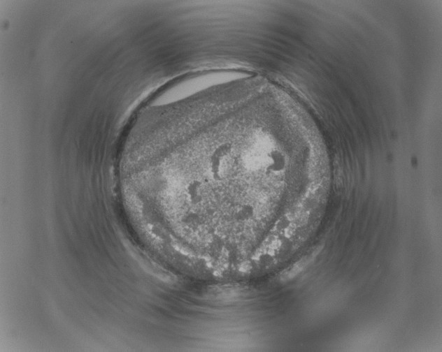 X0000067920351200605112014