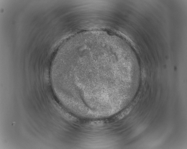 X0000067920353200605112014