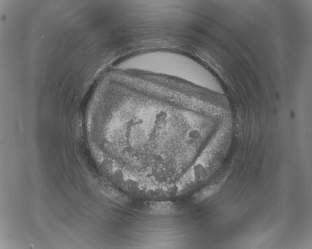 X0000067920355200605112014