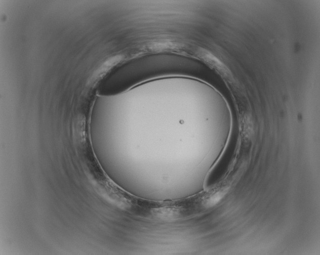 X0000067920356200605112014