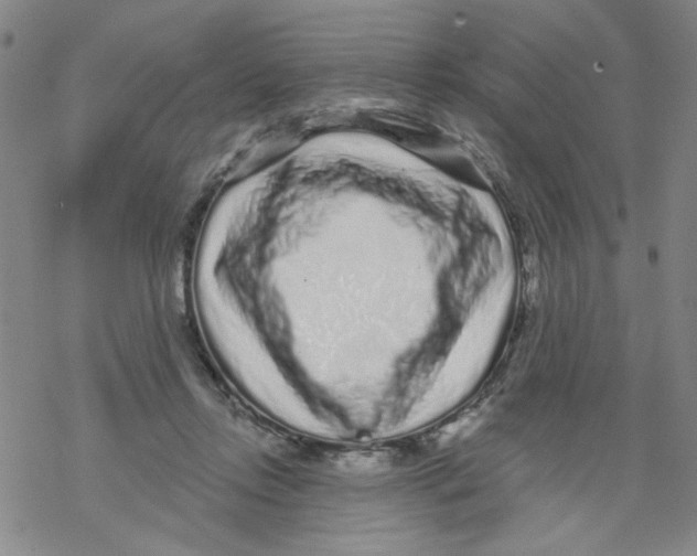 X0000067920358200605112014