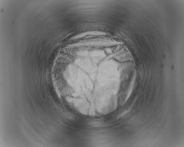 X0000067920359200605112014