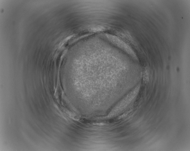 X0000067920360200605112014