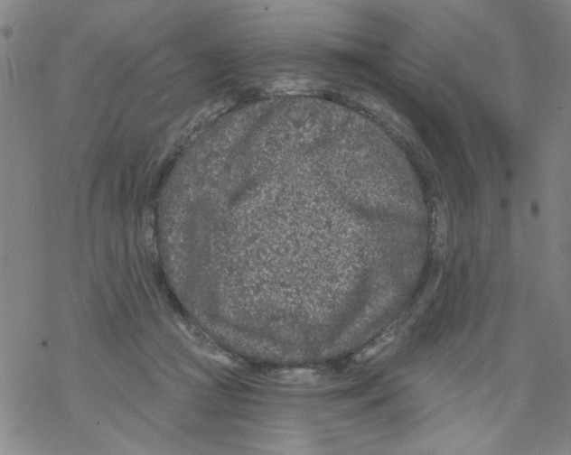 X0000067920361200605112014