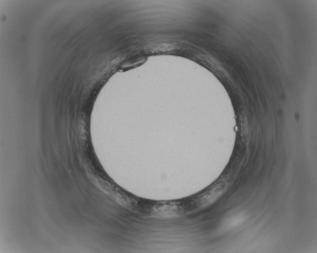 X0000067920362200605112014