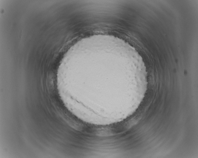 X0000067920363200605112014