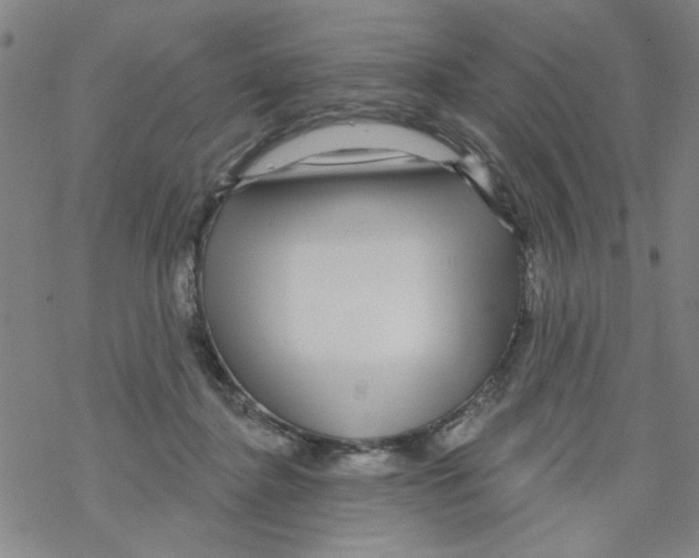 X0000067920364200605112014