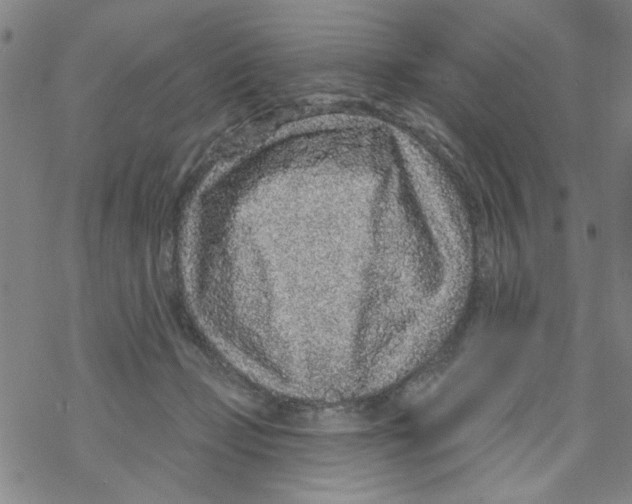 X0000067920365200605112014