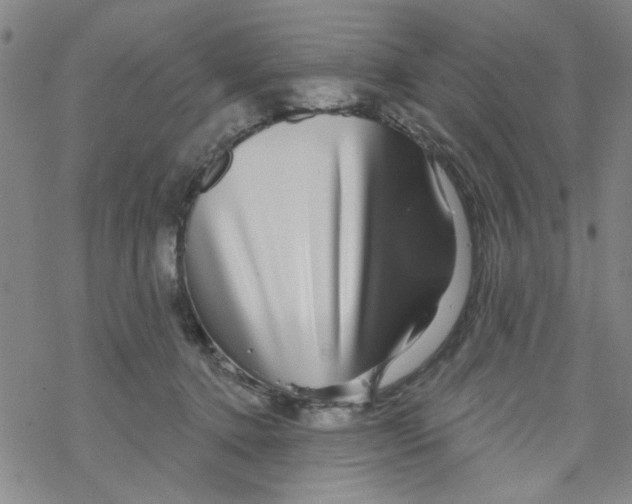 X0000067920368200605112014