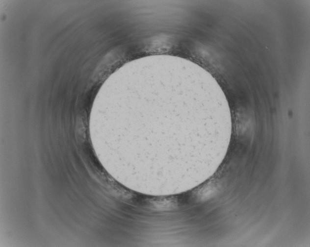 X0000067920370200605112014