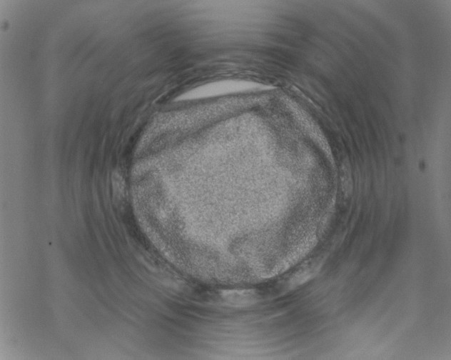 X0000067920371200605112014