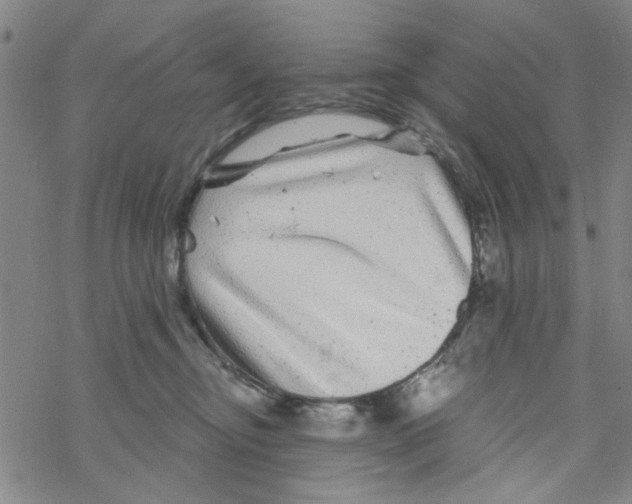 X0000067920374200605112014