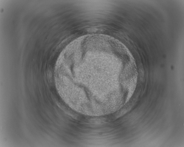 X0000067920375200605112014