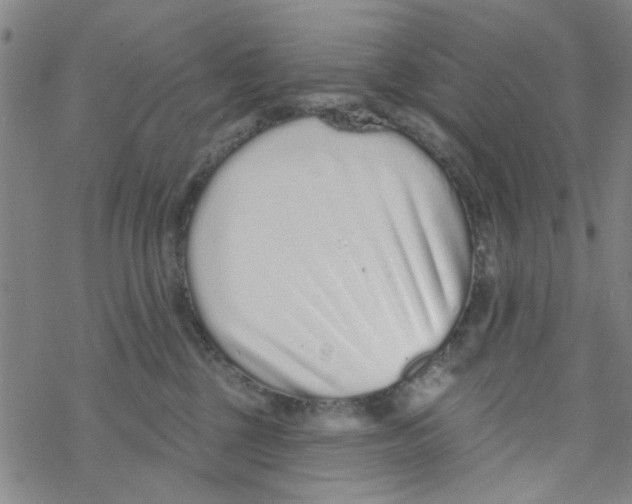 X0000067920377200605112014