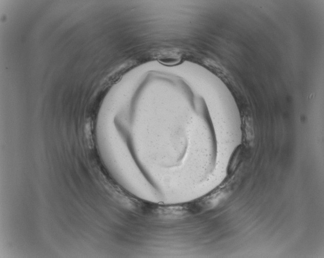 X0000067920378200605112014