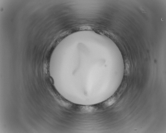 X0000067920379200605112014