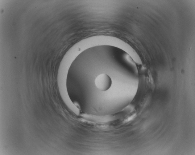 X0000067920380200605112015