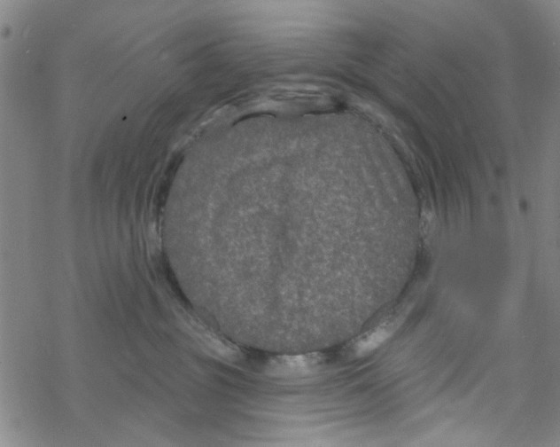 X0000067920381200605112015