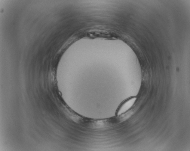 X0000067920382200605112015