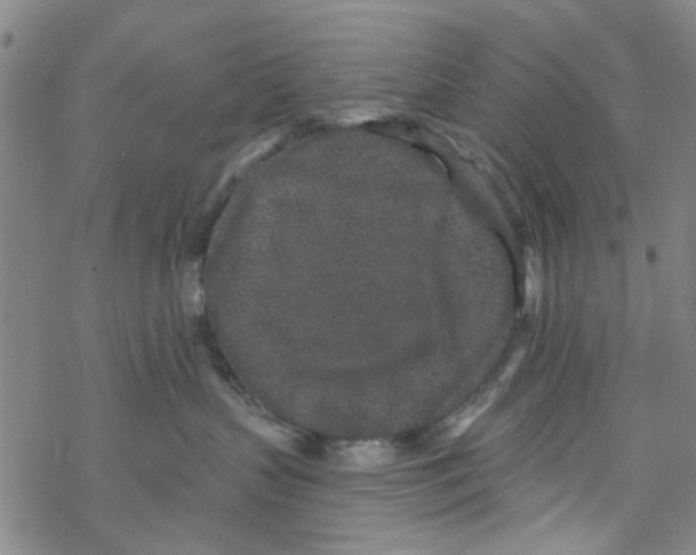 X0000067920383200605112015