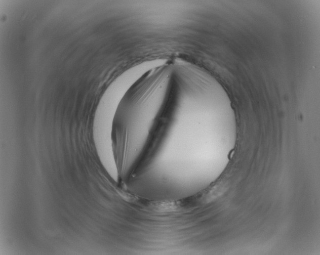 X0000067920384200605112015