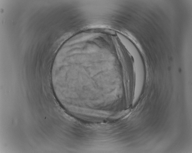 X0000067920385200605112014