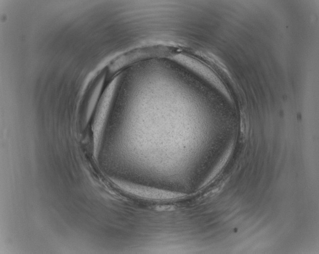 X0000067920388200605112014