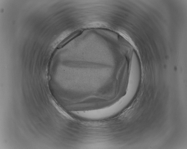 X0000067920389200605112014