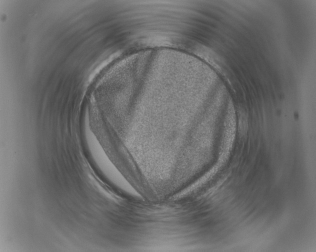 X0000067920390200605112014