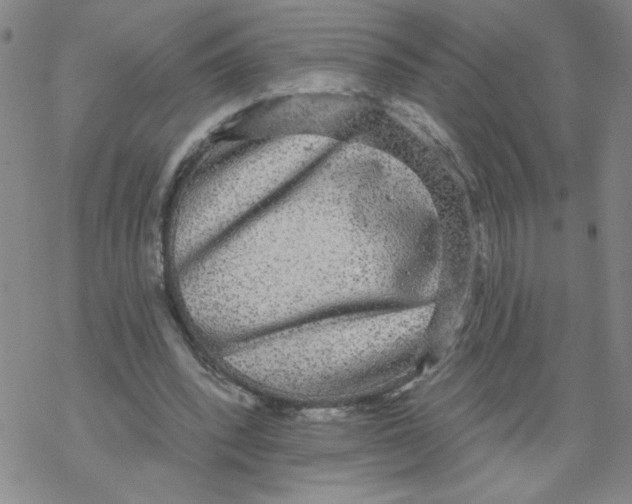 X0000067920392200605112014