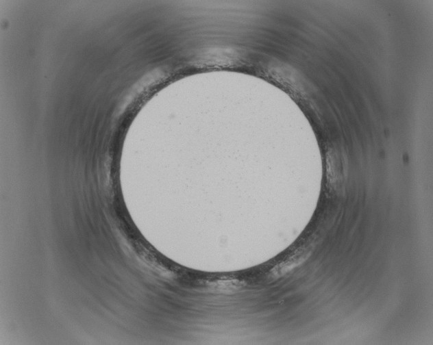 X0000067920396200605112014