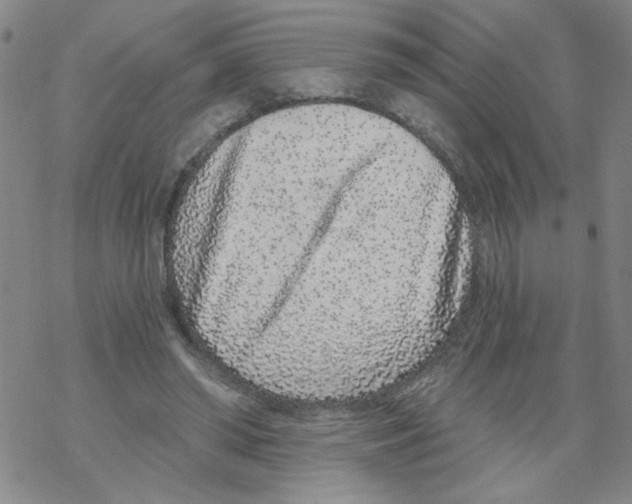 X0000067920398200605112014