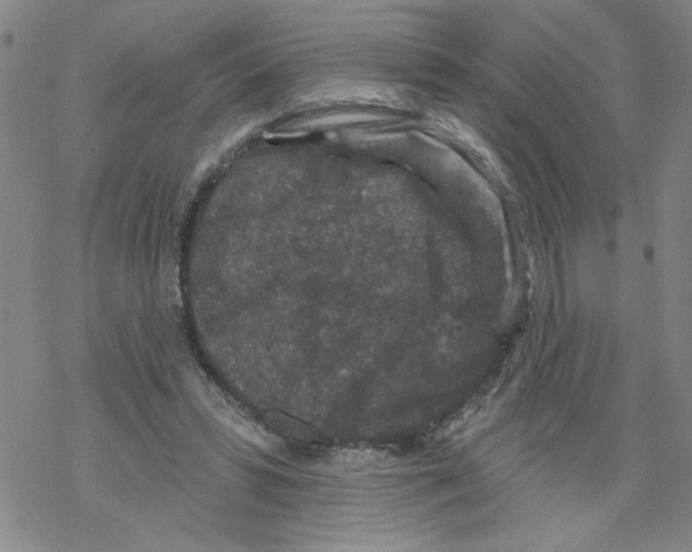 X0000067920399200605112014