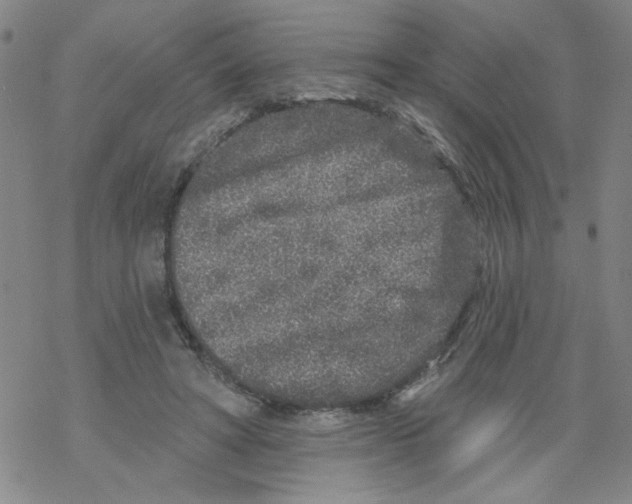 X0000067920402200605112014